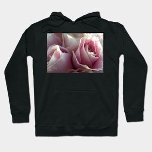 Soft Glowing Baby Pink Roses Hoodie